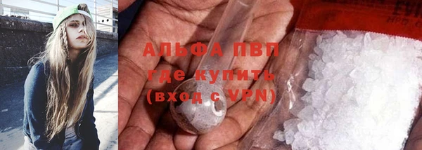 прущие грибы Богородицк