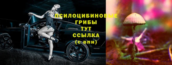 прущие грибы Богородск