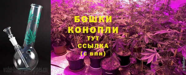 прущие грибы Богородицк
