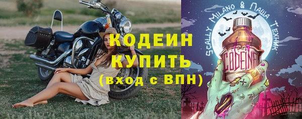 прущие грибы Богородицк