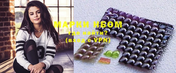 прущие грибы Богородицк