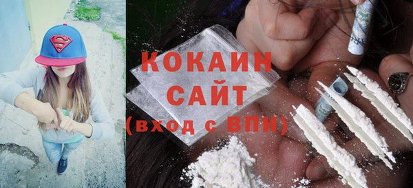 прущие грибы Богородск
