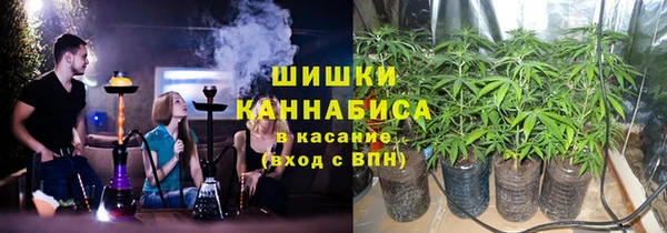 прущие грибы Богородск
