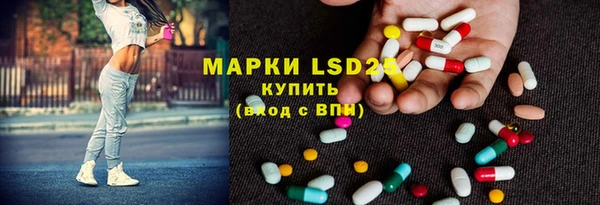 прущие грибы Богородицк