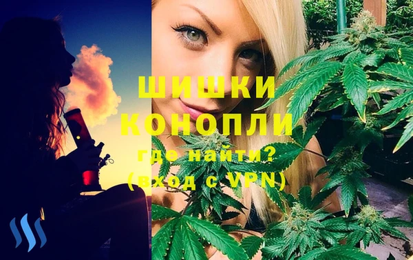 прущие грибы Богородск
